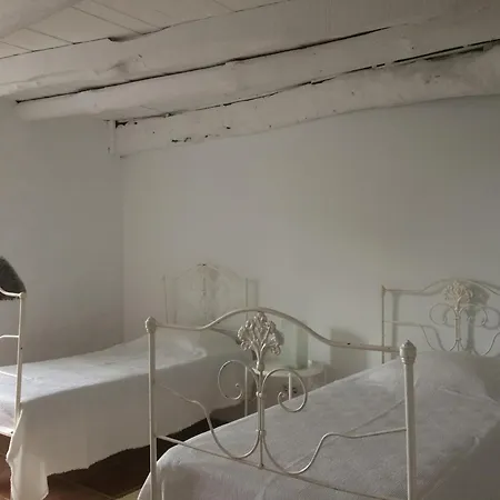 Casa Do Ginjal
