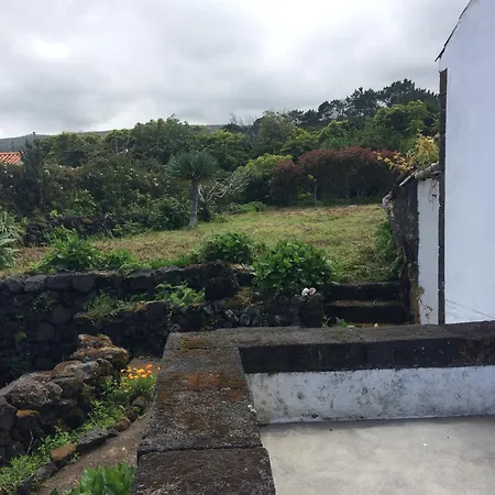 Casa de Campo Casa Do Ginjal *